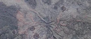 Ein Filmstill aus dem Film »Osmose«