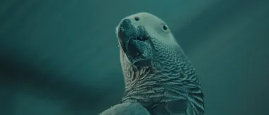 Ein Filmstill aus dem Film »Stupor«